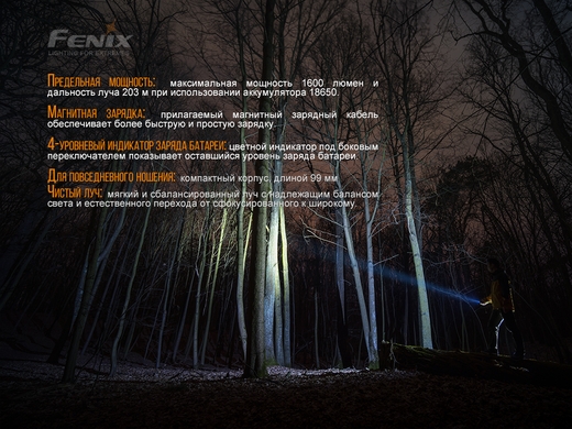 Ручний ліхтар Fenix E30R 1600 лм  Чорний фото