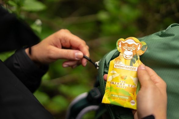 Енергетичний гель Chimpanzee Energy Gel Mango 35 г Енергетичний гель Chimpanzee Energy Gel Mango 35 г фото