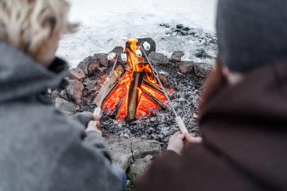 Набір рожнів загнутих Petromax Campfire Skewer LS2 (2 шт)   фото