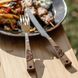 Комплект столових приборів Petromax Camping Cutlery (5 шт)  Коричневий фото high-res