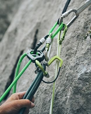 Карабін Edelrid Kiwi Screw Сірий Карабін Edelrid Kiwi Screw Сірий фото
