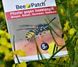 Пластир Bee-Patch від укусів бджіл та ос   фото high-res