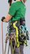 Система страхувальна Edelrid TreeRex II  Зелений фото high-res