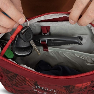 Поясная сумка Osprey Seral 4  Красный фото