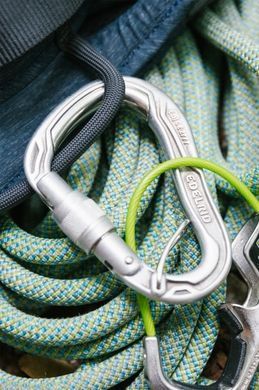 Карабін Edelrid HMS Bulletproof Screw FG Eco  Серебро фото
