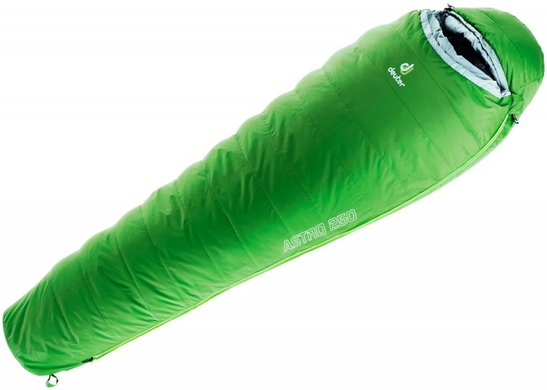 Спальник Deuter Astro 250 +6 °C  Зелёный фото