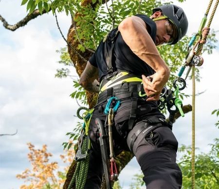 Мотузка статична з кінцевиком Edelrid Woodpecker Weblink 11.7 мм Жовтий Мотузка статична з кінцевиком Edelrid Woodpecker Weblink 11.7 мм Жовтий фото