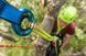 Мотузка статична з кінцевиком Edelrid Woodpecker Weblink 11.7 мм  Жовтий фото high-res