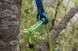Мотузка статична з кінцевиком Edelrid Woodpecker Weblink 11.7 мм  Жовтий фото high-res