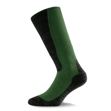 Термошкарпетки Lasting WSM 620  Зелений фото