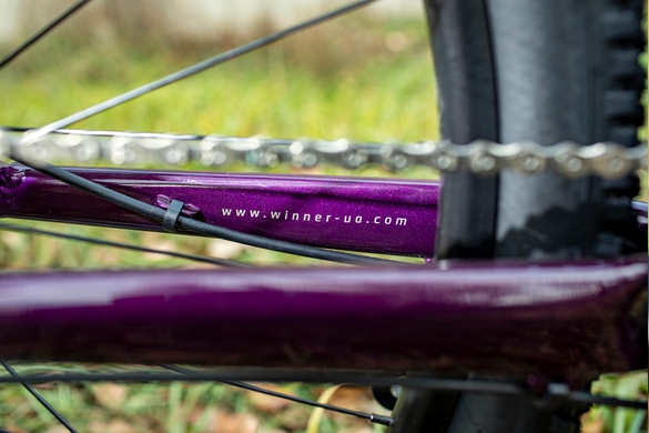 Велосипед горный Winner Solid GT 29”  Фиолетовый фото