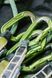 Відтяжка Edelrid Bulletproof Set II  Чорний фото high-res