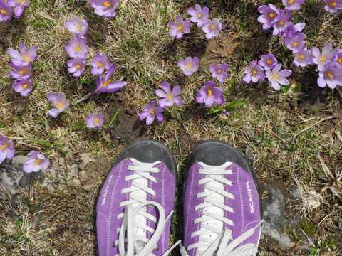 Scarpa clearance mojito begonia