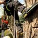 Гафи Edelrid Talon Tree Spurs Long Gaff   фото high-res