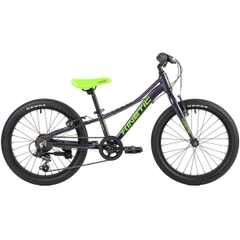 Велосипед горный детский Kinetic Coyote 20”  Фиолетовый фото