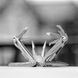 Мультитул Leatherman Wingman в чохлі  Серебро фото high-res